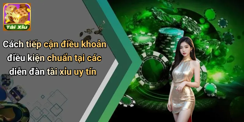 Điều Khoản Điều Kiện
