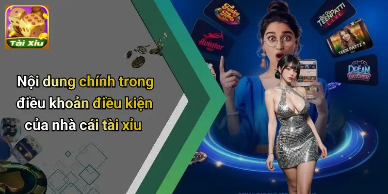 Điều Khoản Điều Kiện