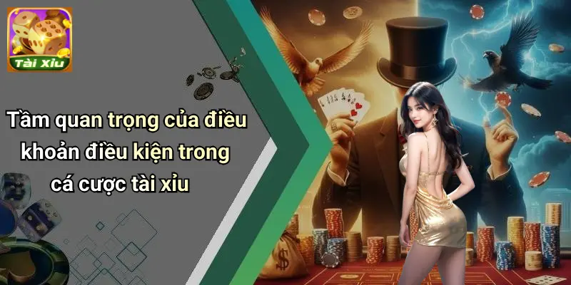 Điều Khoản Điều Kiện