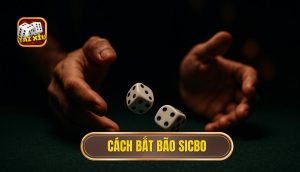 cách bắt bão sicbo