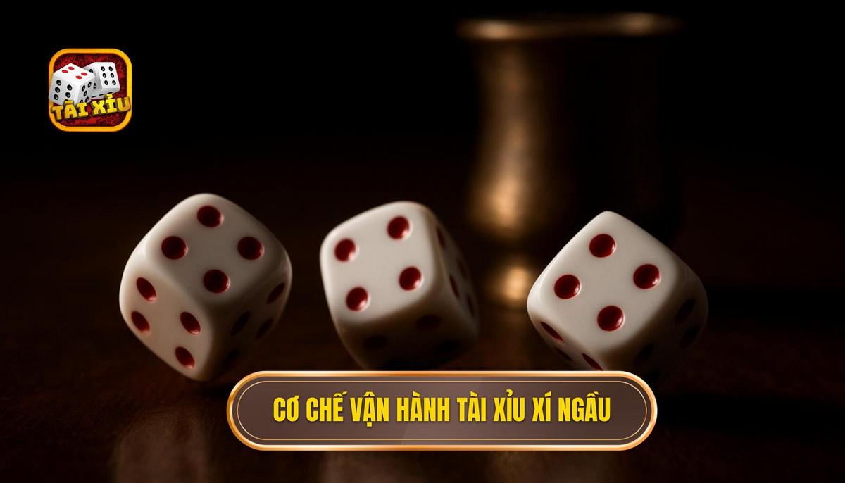 Bản chất và cơ chế vận hành của tài xỉu xí ngầu