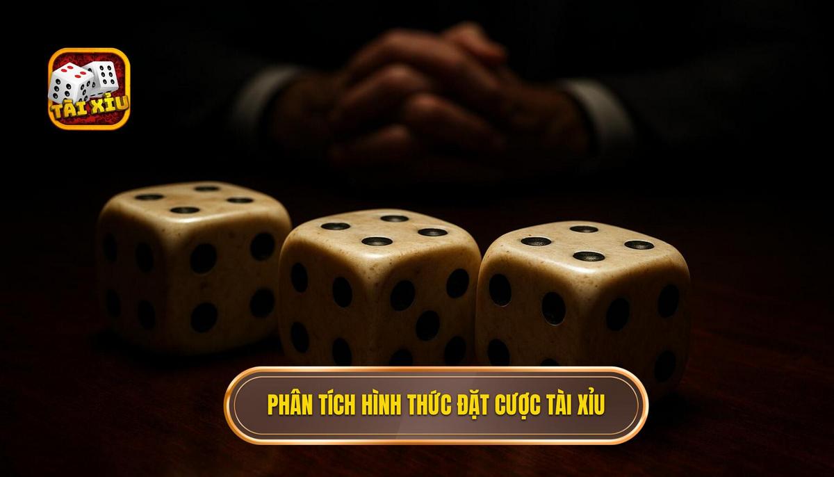 Phân tích các loại hình đặt cược trong tài xỉu 3 xúc xắc
