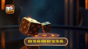 Kèo tài xỉu hôm nay tại TÀI XỈU.