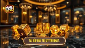 Tài xỉu giải trí uy tín nhất.